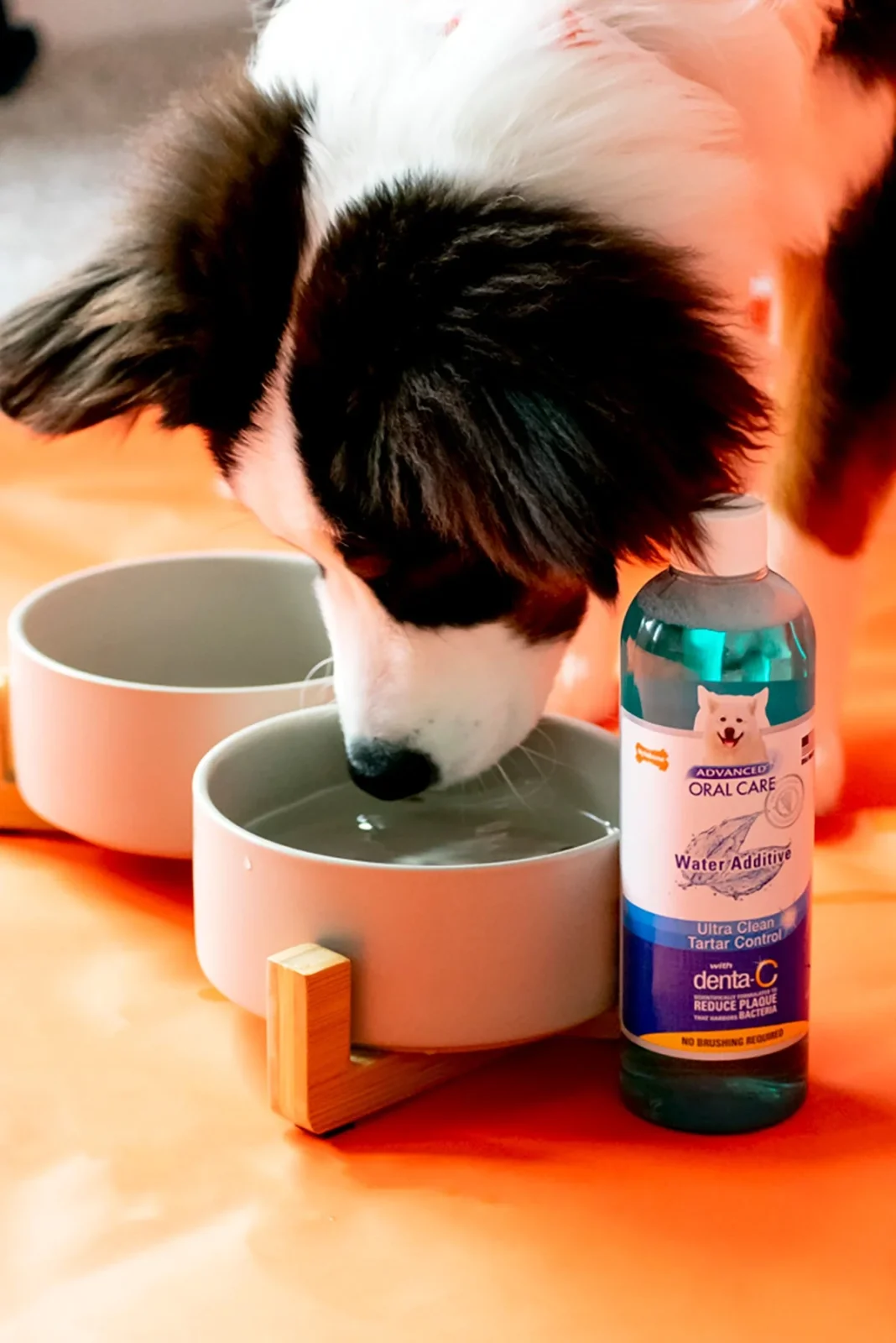 Nylabone Advanced Oral Care Liquid Tartar Remover 16oz - Image 2