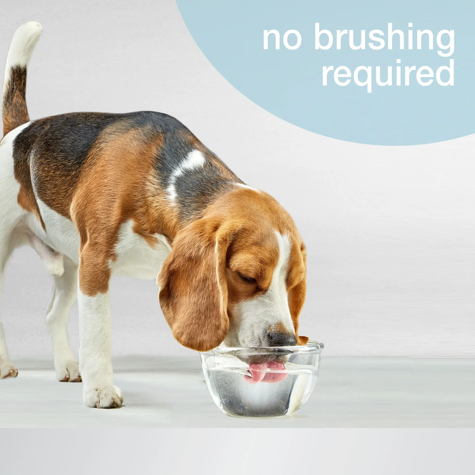 Nylabone Advanced Oral Care Liquid Tartar Remover 32oz - Image 2