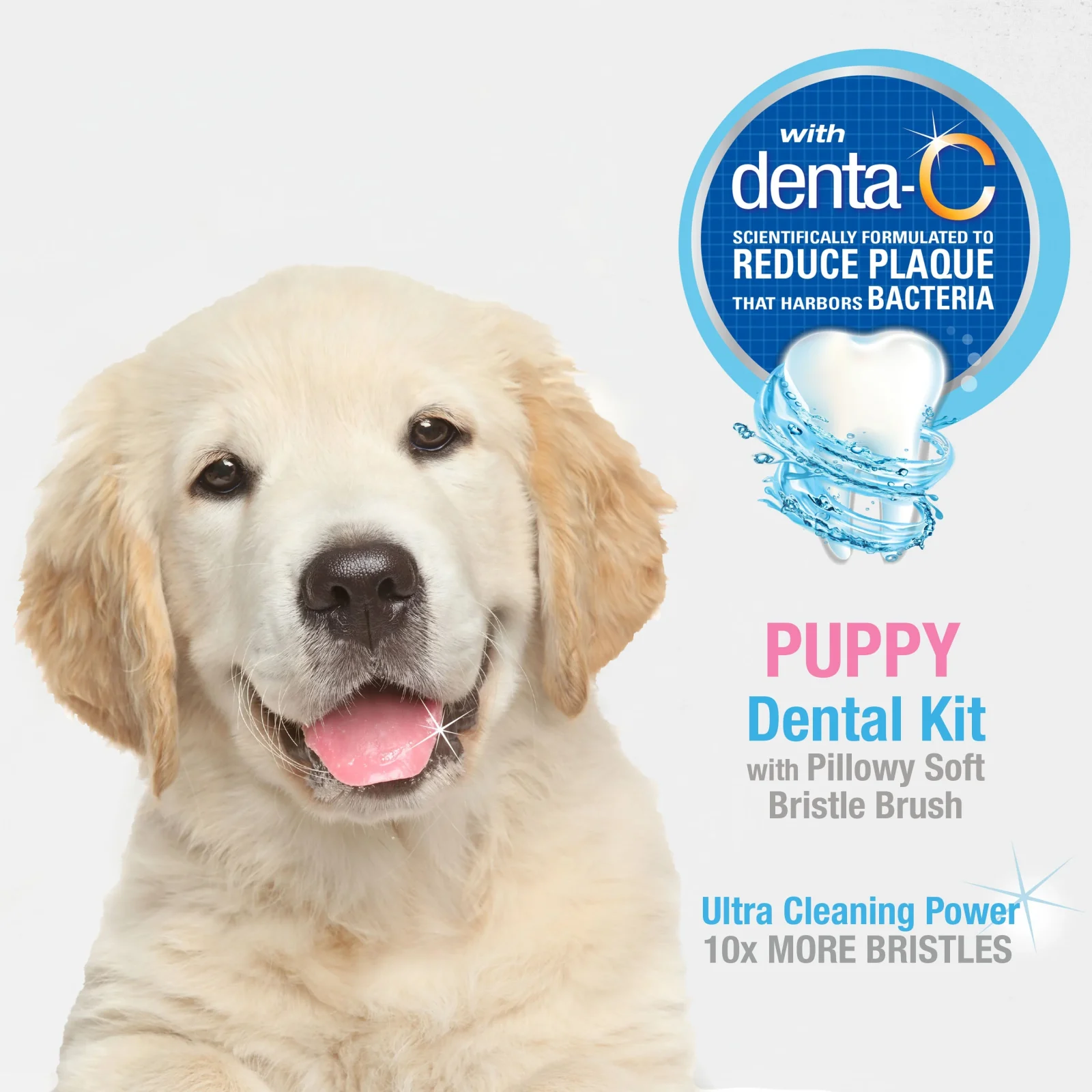 Nylabone Advanced Oral Care Puppy Dental Kit with Soft-Bristle Toothbrush - Image 2