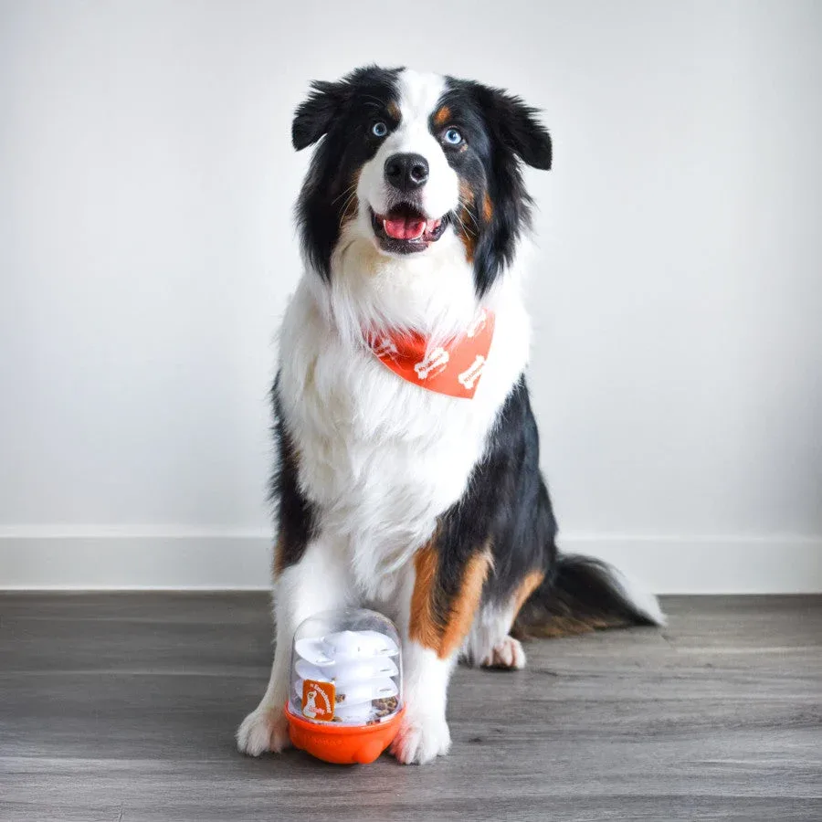 Nylabone Boop N Bobble Puzzle Treat Dog Toy - Image 2