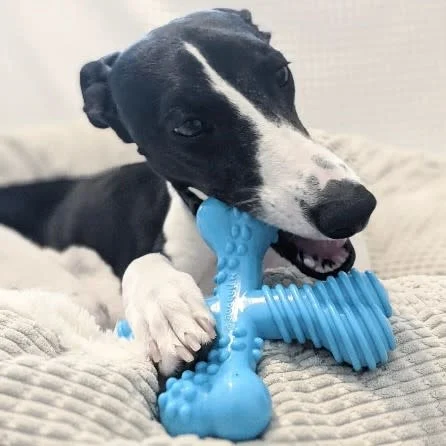 Nylabone Dura Chew X Bone Beef Flavor Large - Image 2