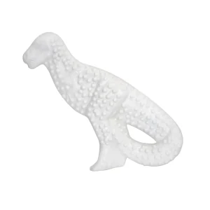 Nylabone DuraChew Dental Dinosaur Original Blister Card