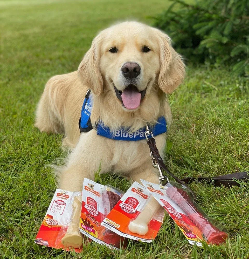 Nylabone DuraChew Original Blister Card Giant - Image 2