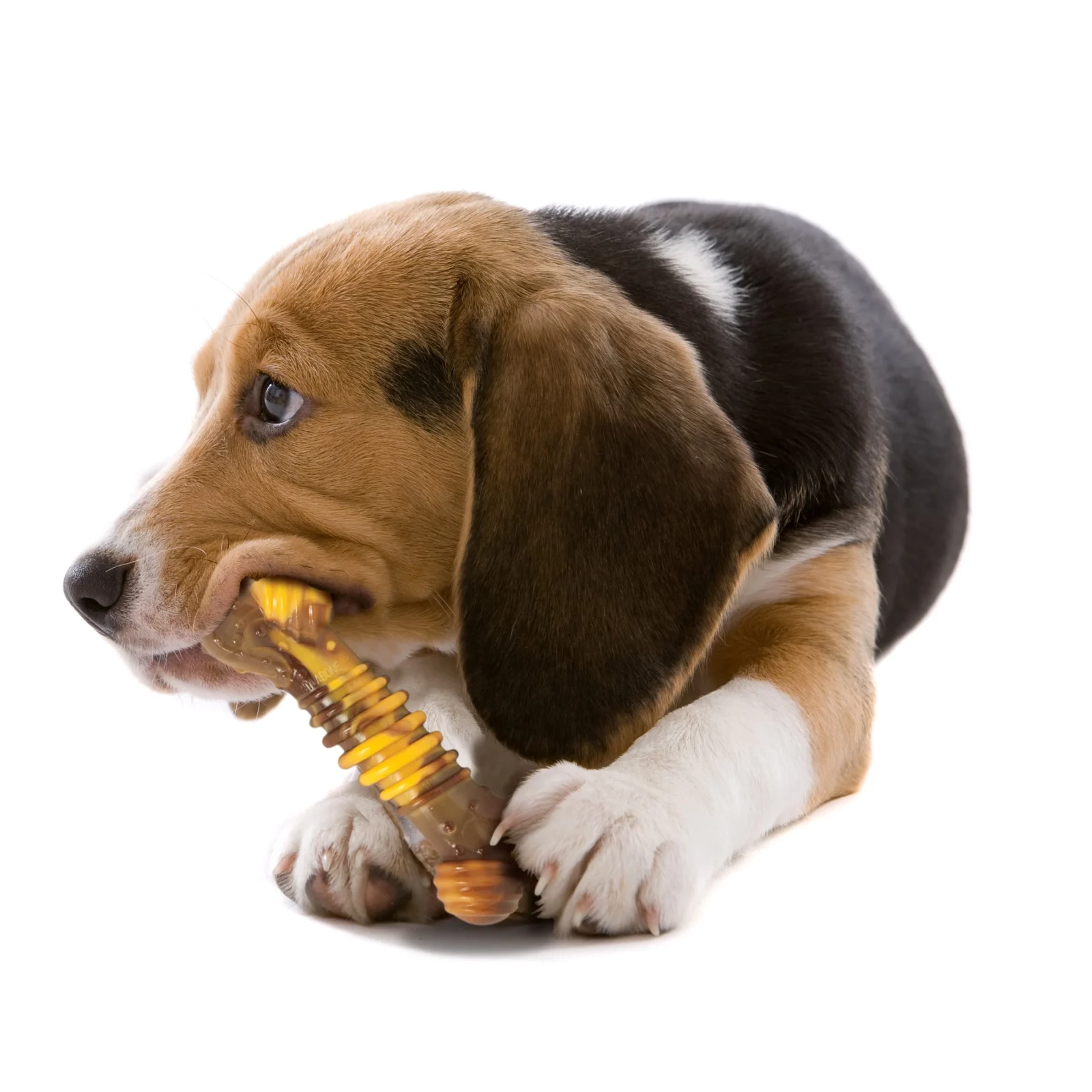 Nylabone Flavor Frenzy Power Chew Durable Dog Chew Toy Philly Cheesesteak, 1ea/Medium/Wolf Up To 35 Lbs. 1 ct - Image 2