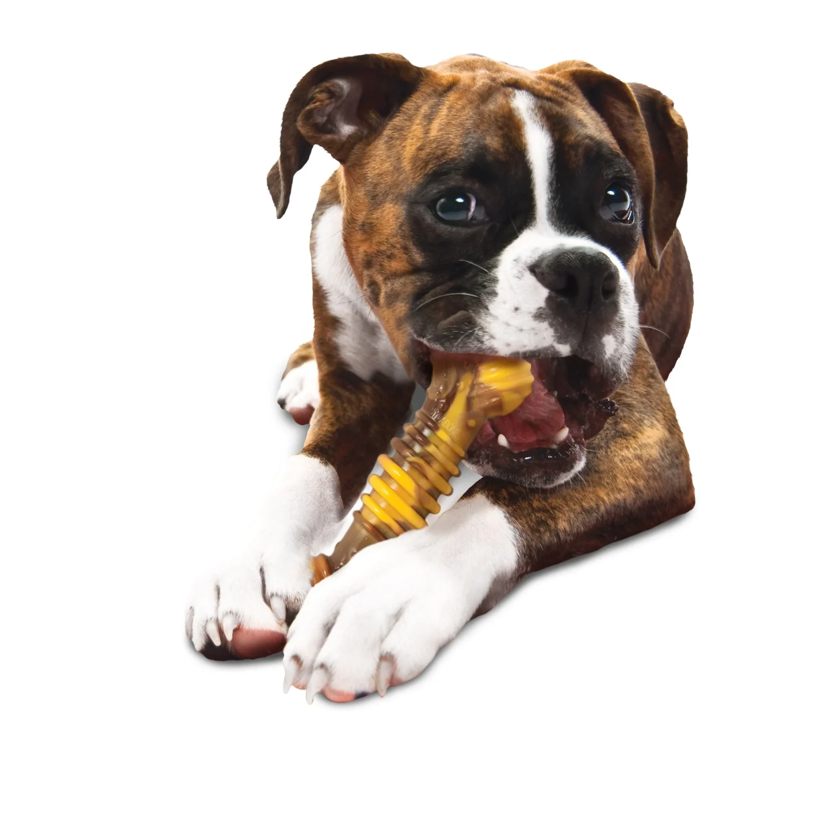 Nylabone Flavor Frenzy Power Chew Durable Dog Chew Toy Philly Cheesesteak, 1ea/XL/Souper 50 Lbs. 1 ct - Image 2