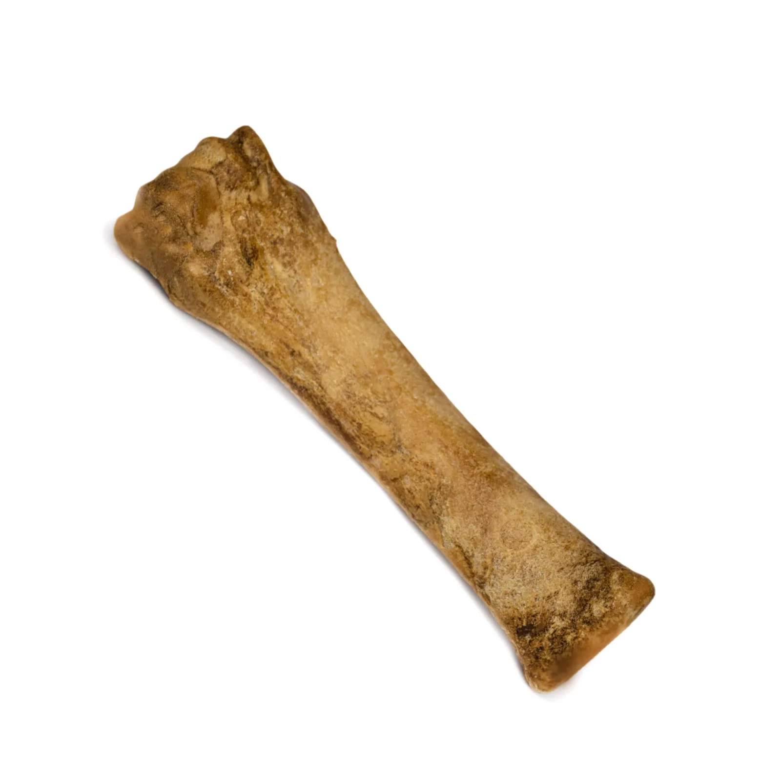 Nylabone Holiday Healthy Edibles Bacon Dog Treat - Image 2