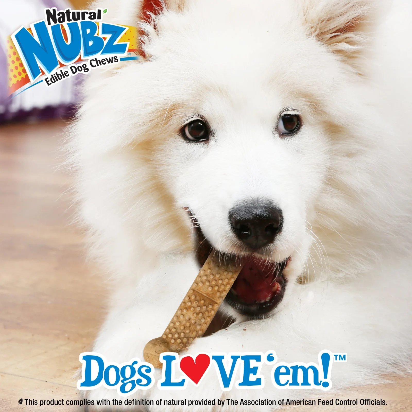 Nylabone Nubz Peanut Butter Large 15ct - Image 2