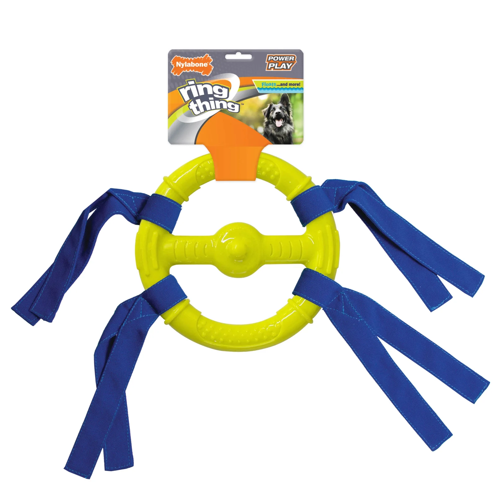 Nylabone Play Ring Thing