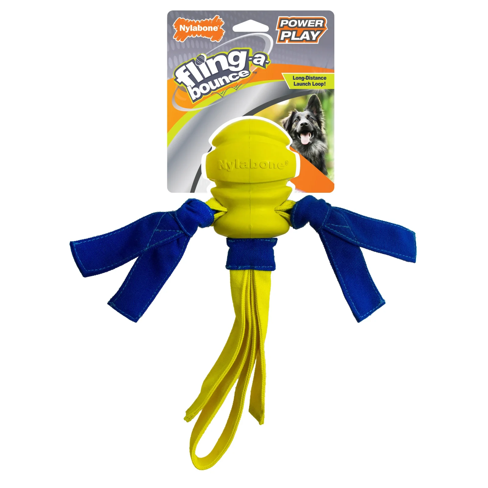 Nylabone Power Play Fetch Fling-a-Bounce Dog Toy Large 14in.