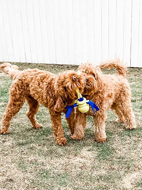 Nylabone Power Play Fling-a-Bounce Interactive Dog Toy 1ea/Medium/Wolf - Up To 35 lb - Image 2