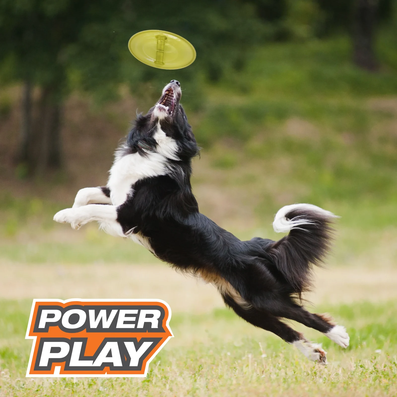 Nylabone Power Play Ultra Glider Gripz Dog Flying Disc 1ea/Large/Giant - Up To 50 lb - Image 2