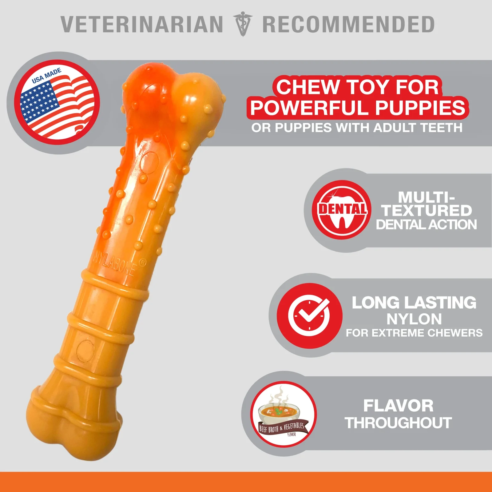 Nylabone Textured Nylon Puppy Chew Toy Beef & Vegetable 1ea/Large/Giant - Up To 50 lb - Image 2