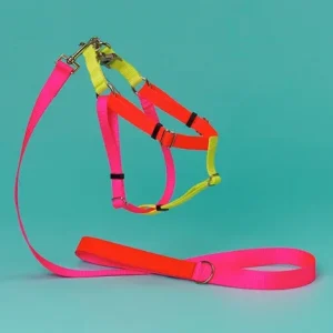 Nylon & Leather Dog Leash in Neon Pink & Orange (Made in the USA) <>