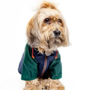 Nylon Colorblock Dog Rainbreaker in Hunter Green & Navy (Exclusive to DOG & CO.)