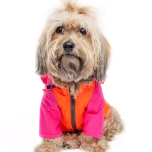 Nylon Colorblock Dog Rainbreaker in Neon Pink + Orange (Exclusive to DOG & CO.)