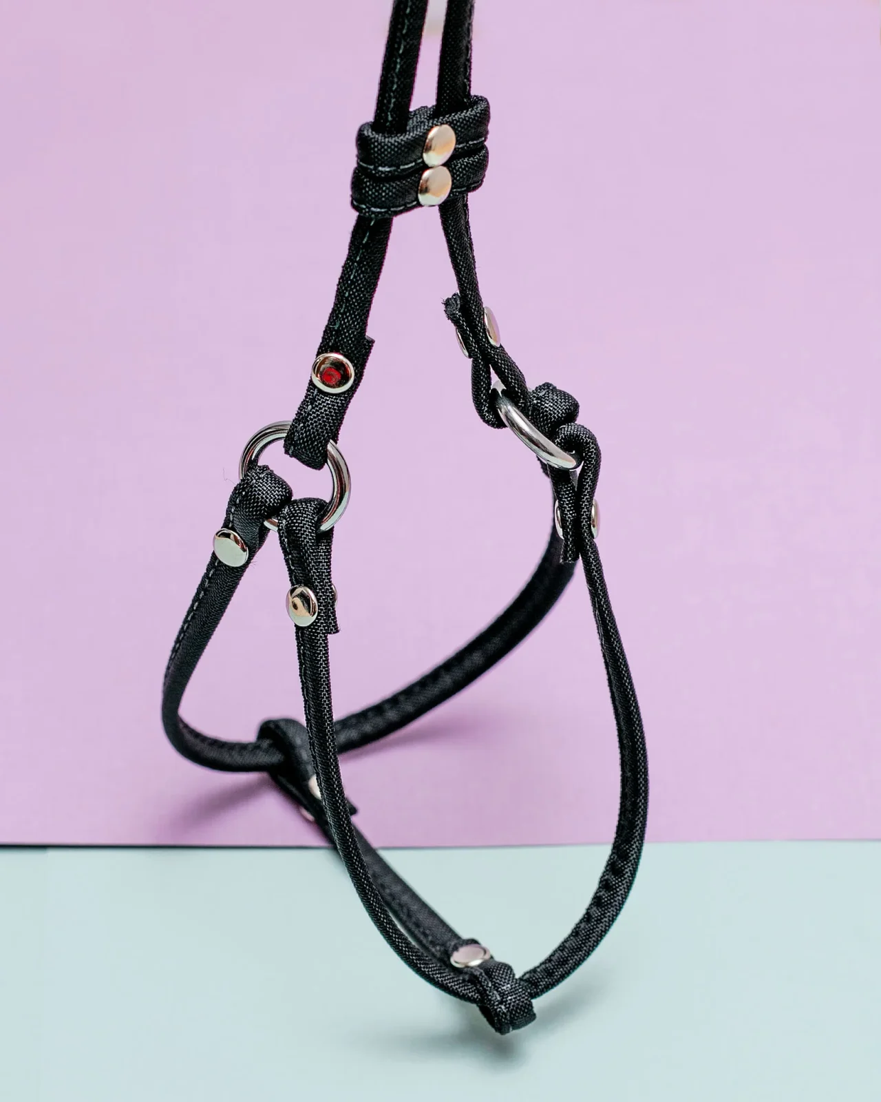 Nylon Step-In Adjustable Dog Harness in Black (Made in the USA) - Image 2