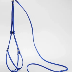 Nylon Step-In Dog Harness in Cobalt Blue (Made in the USA)