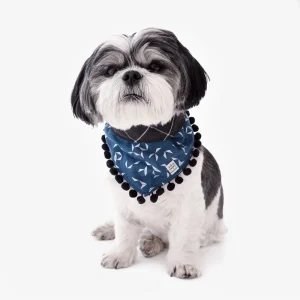 OH HONEY BEAR | Benjamin Pom Pom Bandana