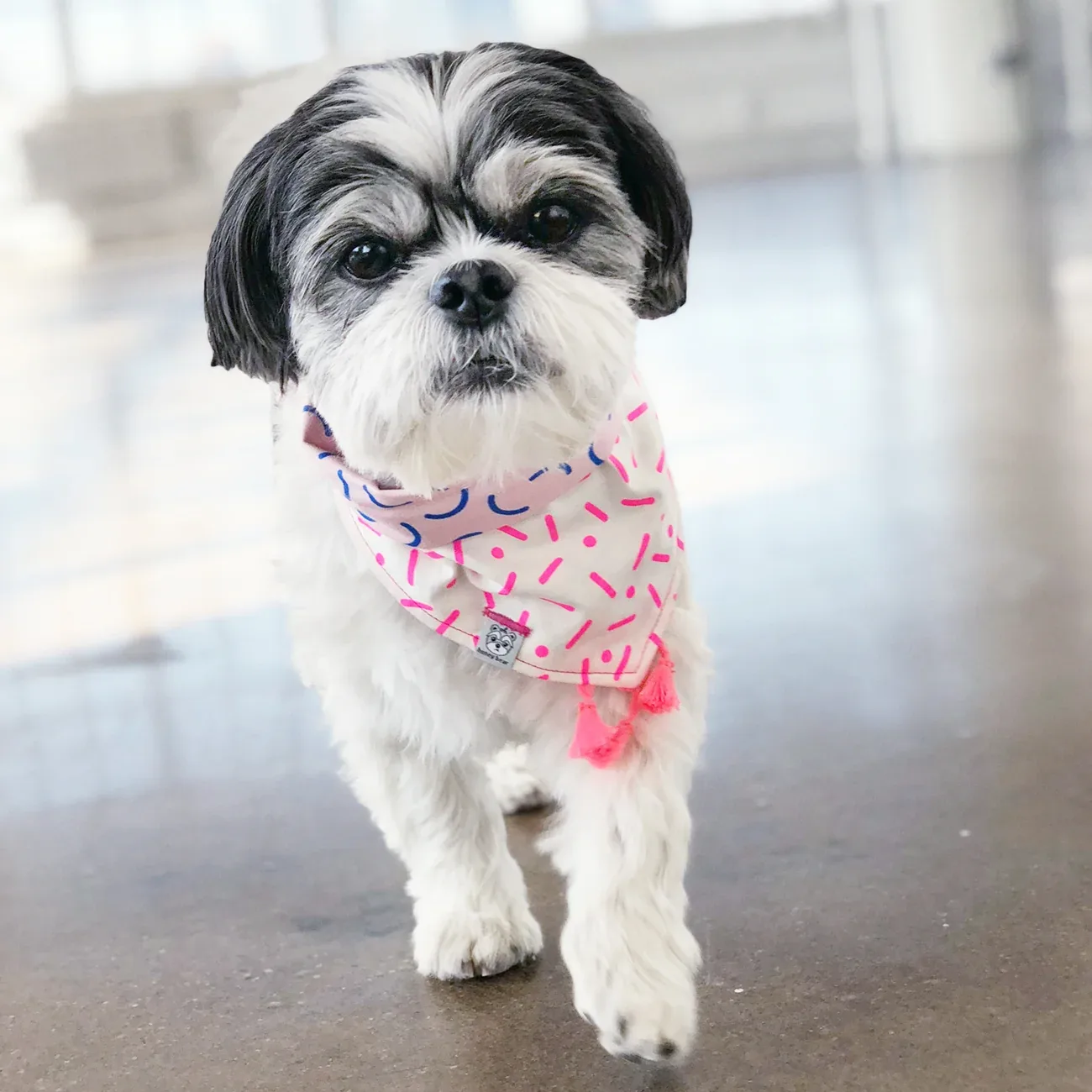 OH HONEY BEAR | Candy Bandana - Image 2