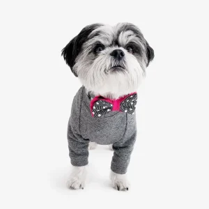 OH HONEY BEAR | Lewis Bow Tie