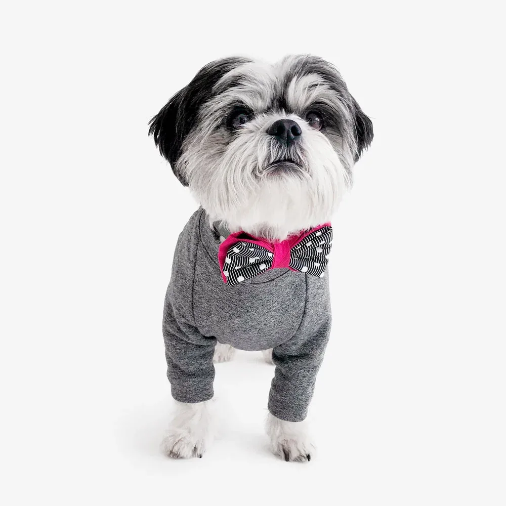 OH HONEY BEAR | Lewis Bow Tie