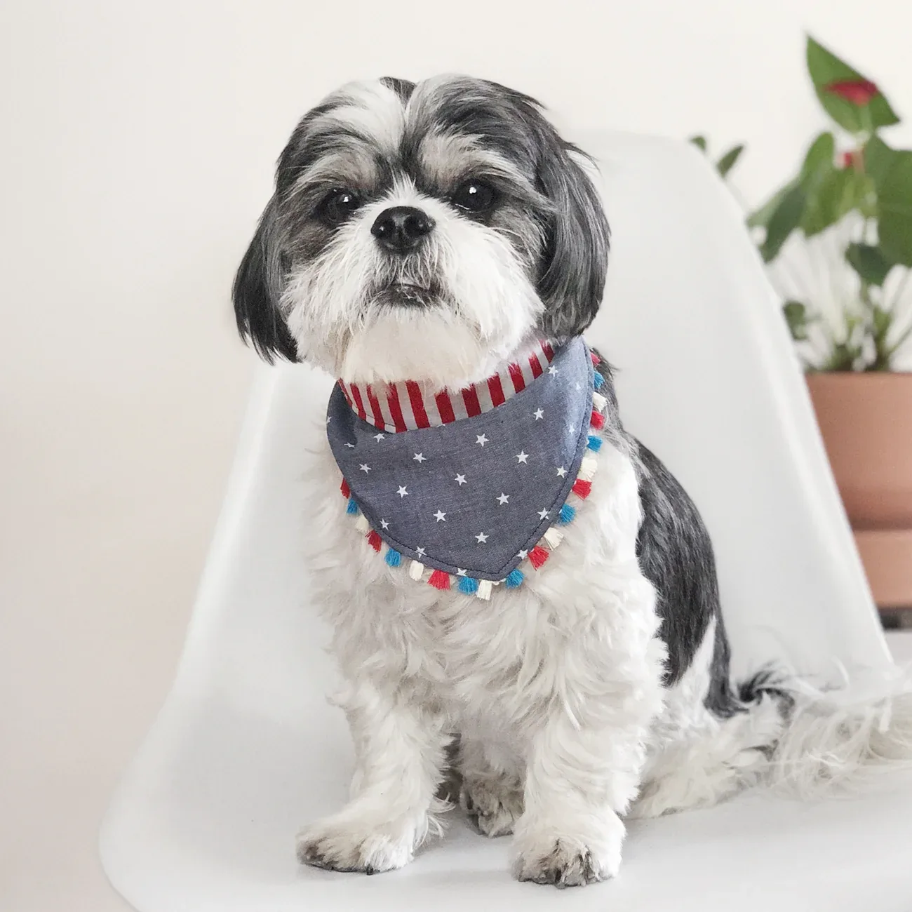 OH HONEY BEAR | Stars & Stripes Bandana - Image 2
