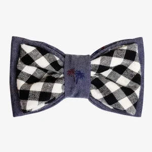 OH HONEY BEAR | Truman Bow Tie