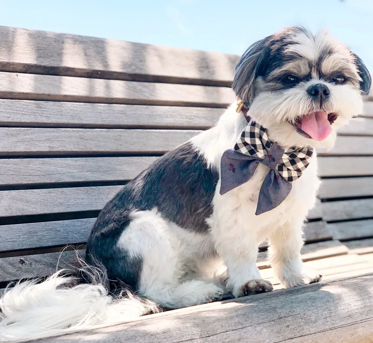 OH HONEY BEAR | Truman Sailor Bow