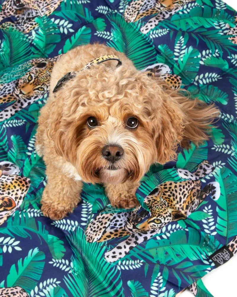 On-The-Go Pet Mat in Tropical Luxe Leopard <>