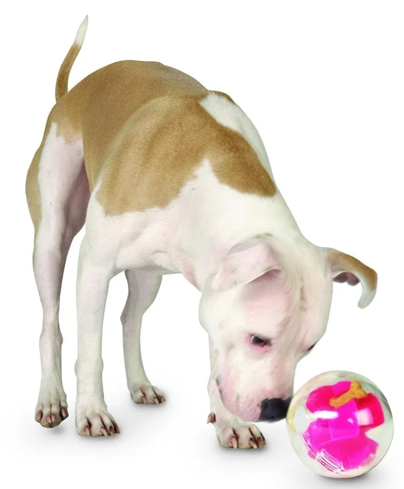 Orbee Tuff Mazee Toy - Image 2