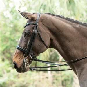 Otto Schumacher Tiffany Double Bridle