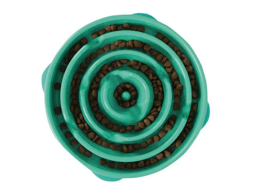 Outward Hound Fun Feeder Slo Dog Bowl, Turquoise, LG - Image 2