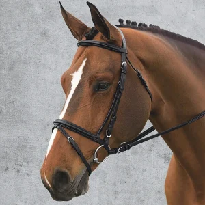 Ovation® Comfort Crown Dressage Bridle