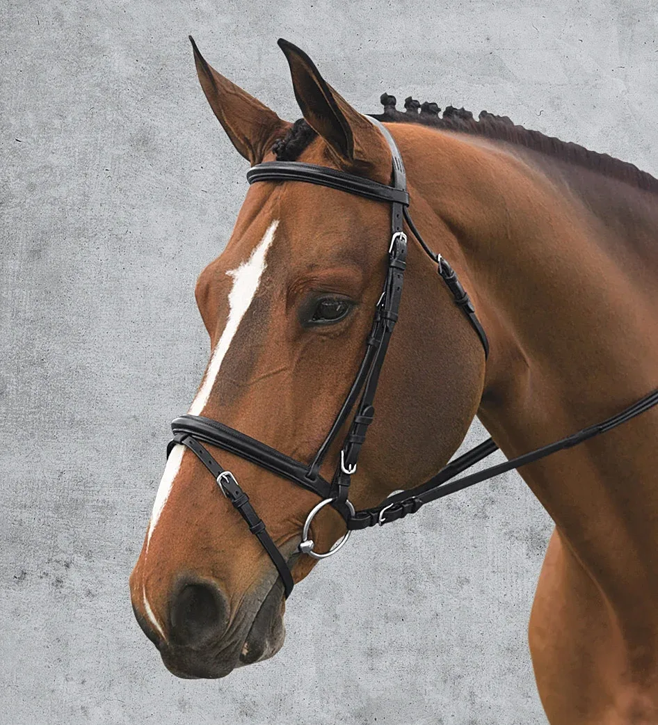 Ovation® Comfort Crown Dressage Bridle