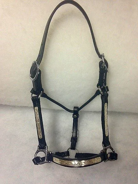 Ozark Performance Halter with Silver Mini/Pony