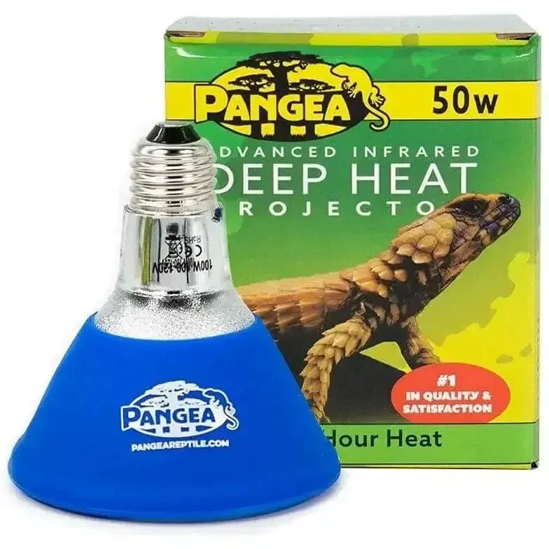 Pangea Deep Heat Projector for Reptiles