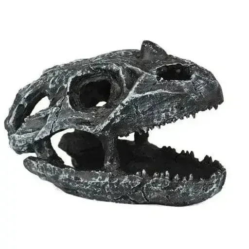 Pangea Dinosaur Skull Cave