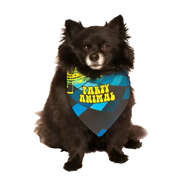 Party Animal Birthday Dog Bandana by Dog Fashion Living