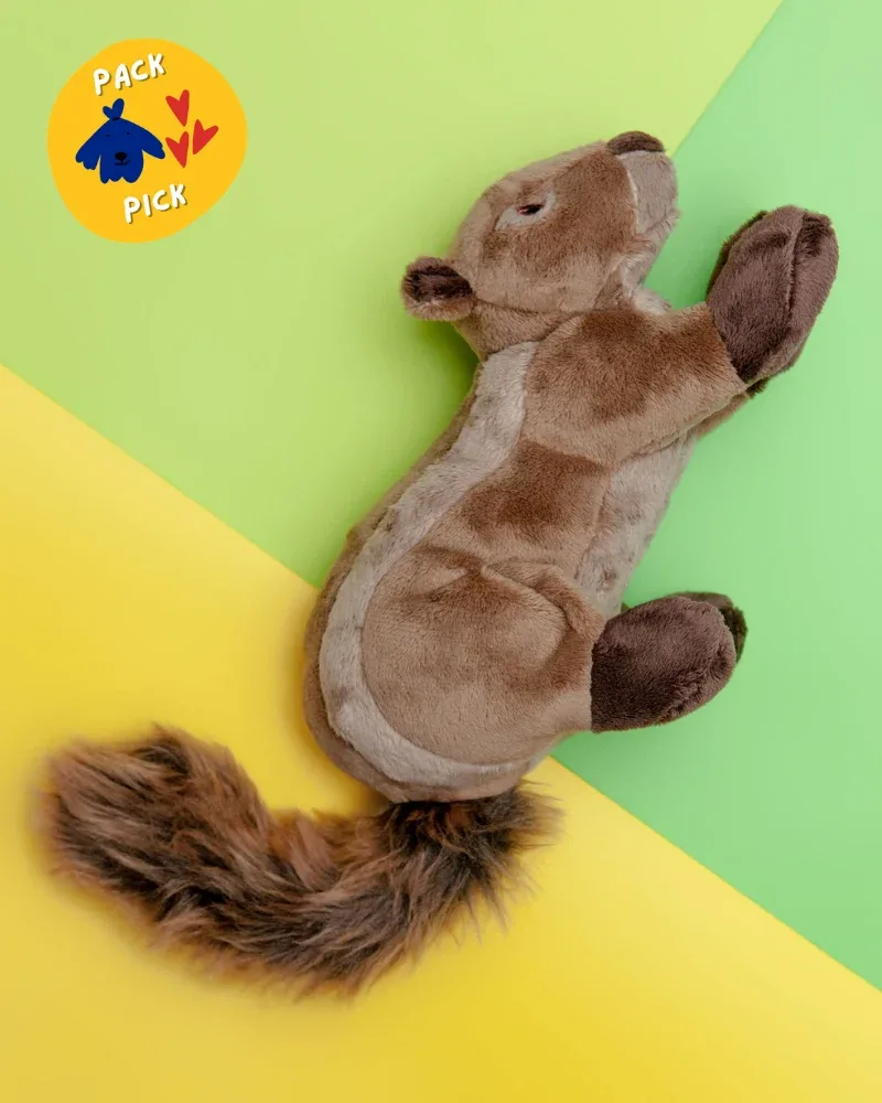 Peanut the Squirrel Squeaky Dog Plush Toy - Image 2