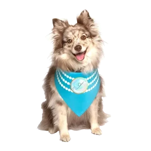 Pearl Fashion Wedding Dog Bandana by Dog Fashion Living
