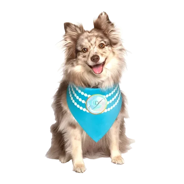 Pearl Fashion Wedding Dog Bandana by Dog Fashion Living