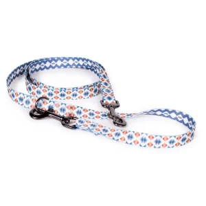 Pendleton Falcon Cove Adventure Dog Leash; 6-ft long