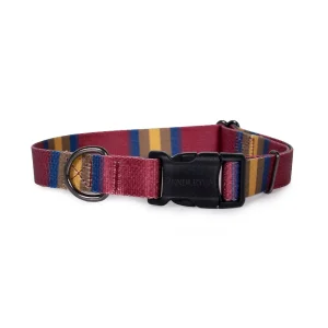 Pendleton Zion National Park Adventure Dog Collar