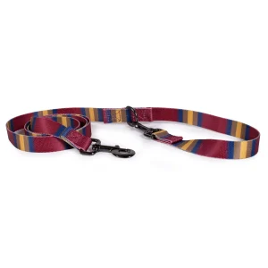 Pendleton Zion National Park Adventure Dog Leash; 6-ft long