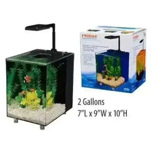 Penn Plax 2 Gallon Prism Glass Aquarium Kit - Complete Penn Plax Aquarium Kit