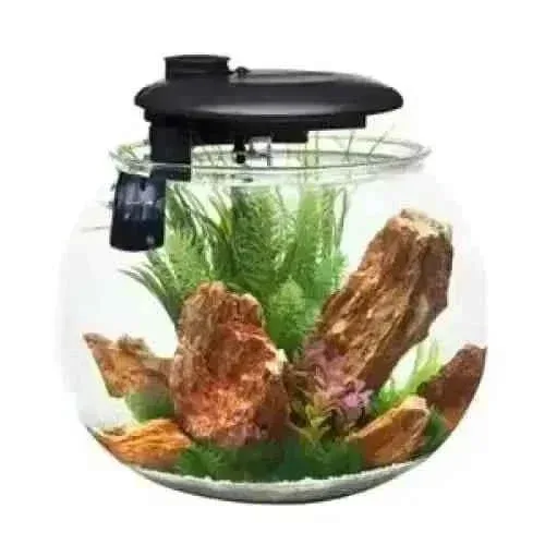 Penn-Plax AquaSphere Aquarium with Filtration System and LED Light Display for Freshwater and Saltwater
