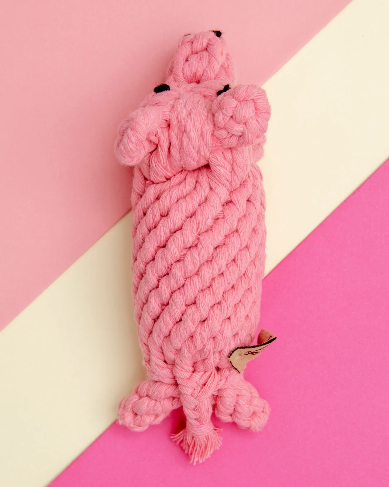 Penny the Pig Rope Dog Toy - Image 2