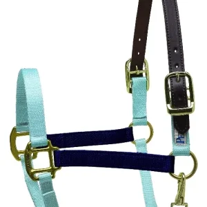 Perri's Color Vision Halter