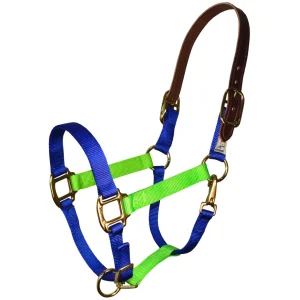Perri's Color Vision Halter