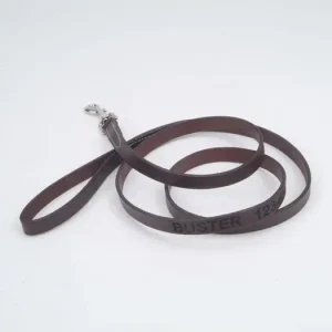 Personalized 6ft Leather Dog Lead